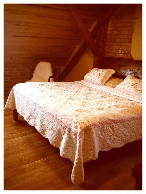Dvur Olsiny -Hotel And Horse-Riding Karviná Chambre photo